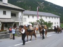 umzug0020