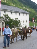 umzug0022