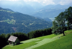 Maisäß am Plankenberg St. Gerold (Großwalsertal)