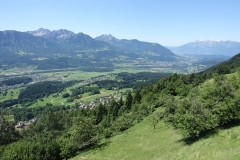cimg_0780