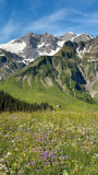 Blumenwiesen-in-Warth-Schroecken-am-Arlberg © Warth-Schröcken Tourismus, 2024.