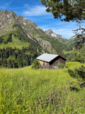 Blumenwiesen-in-Warth-Schroecken-am-Arlberg © Warth-Schröcken Tourismus, 2024.
