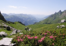 walser_04