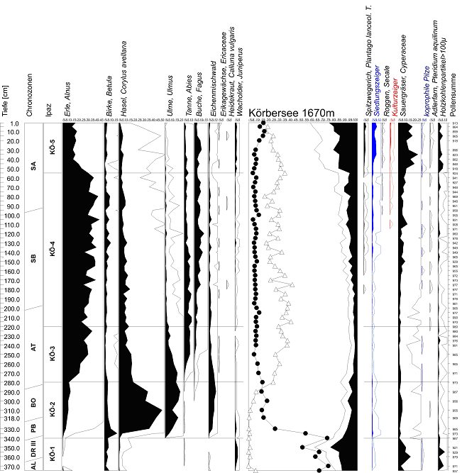 Abbildung 3. Vereinfachtes Pollendiagramm des Sedimentbohrkernes aus dem Körbersee.